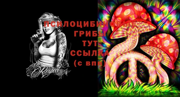 твердый Армянск