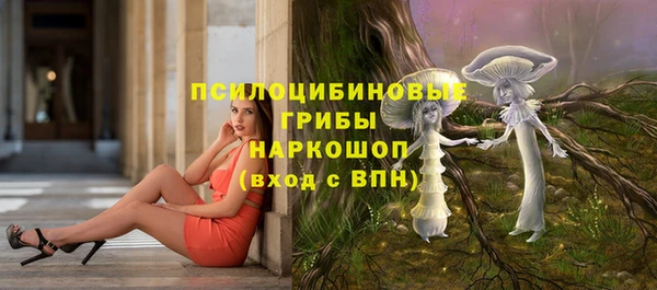 тгк Аркадак
