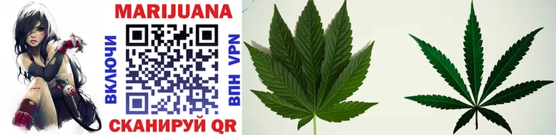 гидра ССЫЛКА  Сасово  Канабис SATIVA & INDICA  купить наркотик 